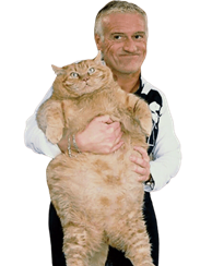 Kit du Parieur Spécial EURO 2020 ou la chatte à dédé 